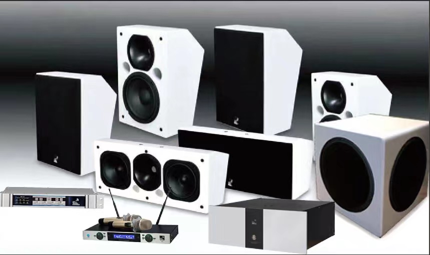 广东省羞羞视频软件下载音响有限公司法国RS Audio 影K系统