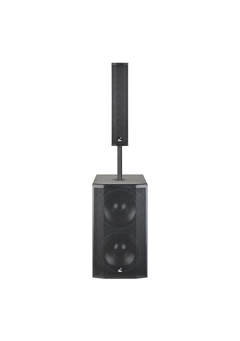 DZ-309+SW-212B组合